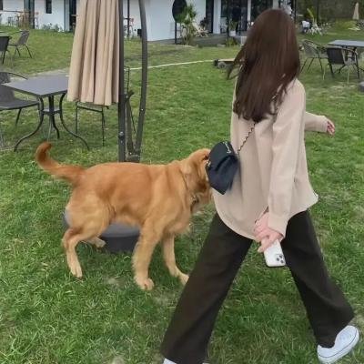茶之味